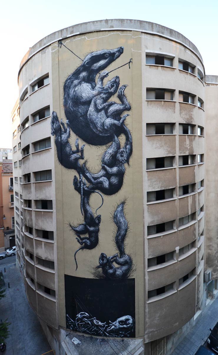 ROA - Málaga - arte urbano - soho - street art
